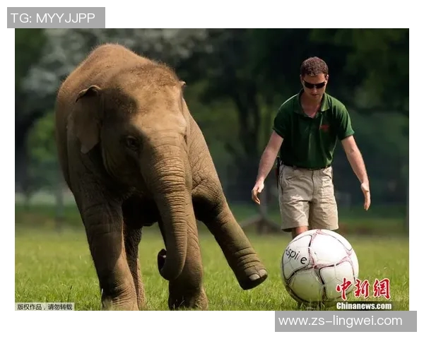 大力王足球球星的成长轨迹与足球技艺全面解析