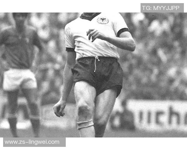 1981年足球巨星风云：聚焦当年最耀眼的球场传奇与精彩表现